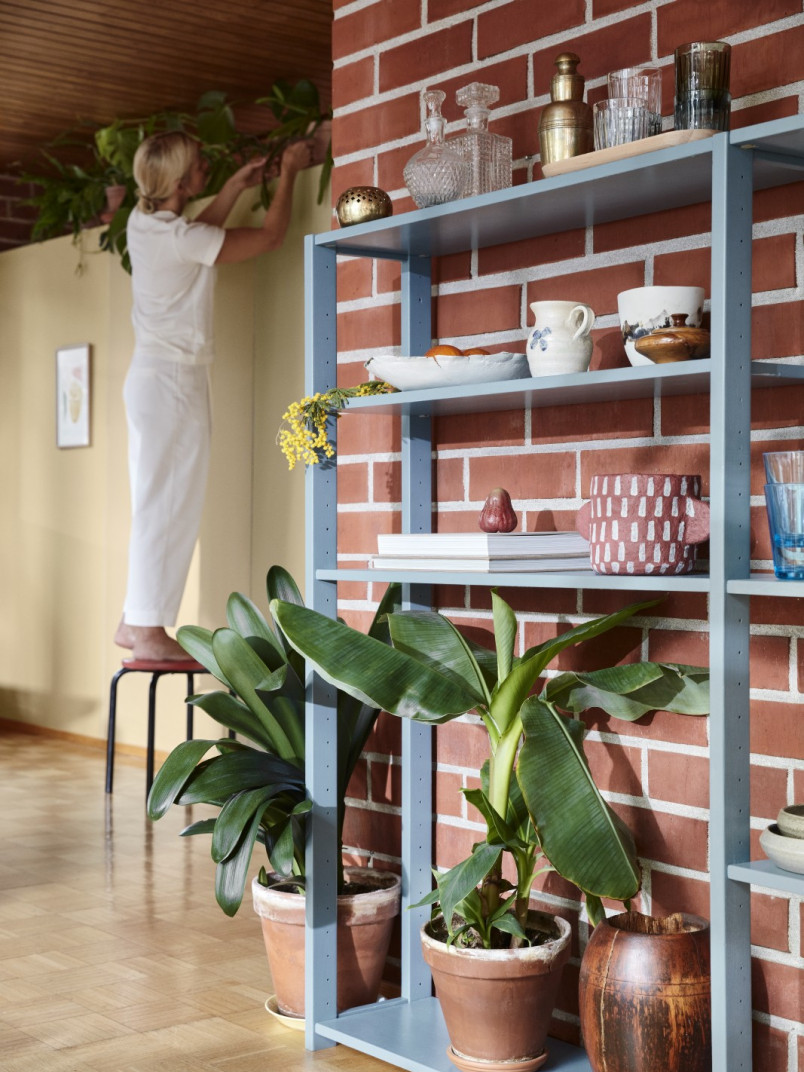 big green plants on decoration shelf in front of brick wall