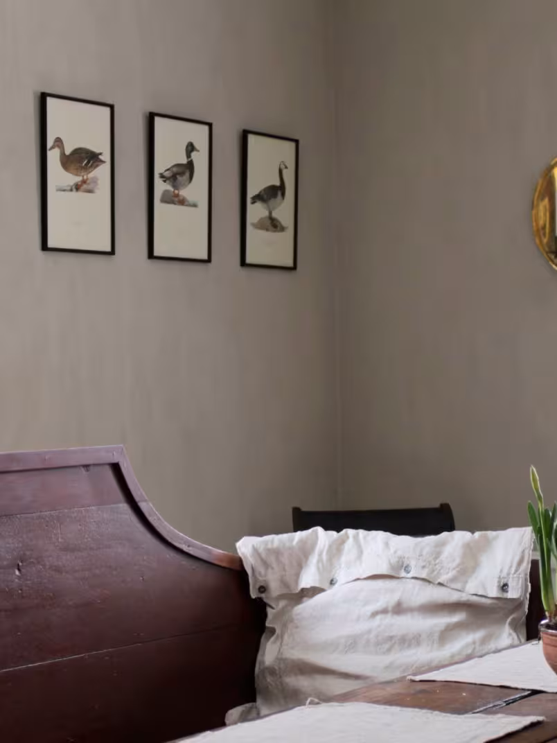 Painted dining room wall