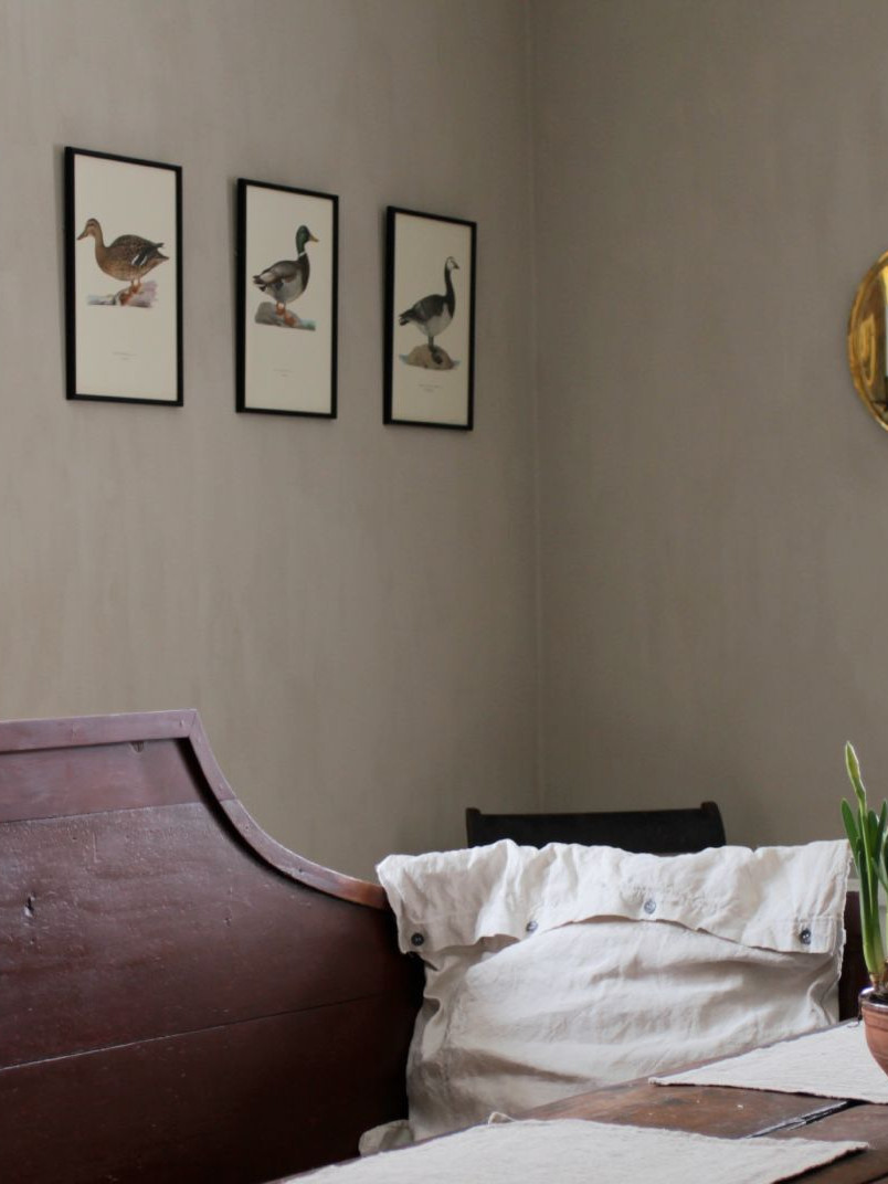 Painted dining room wall