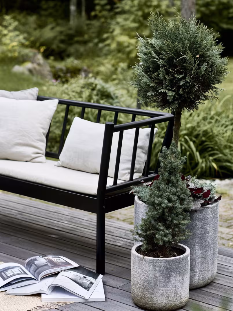 Paint terrace in dark colour