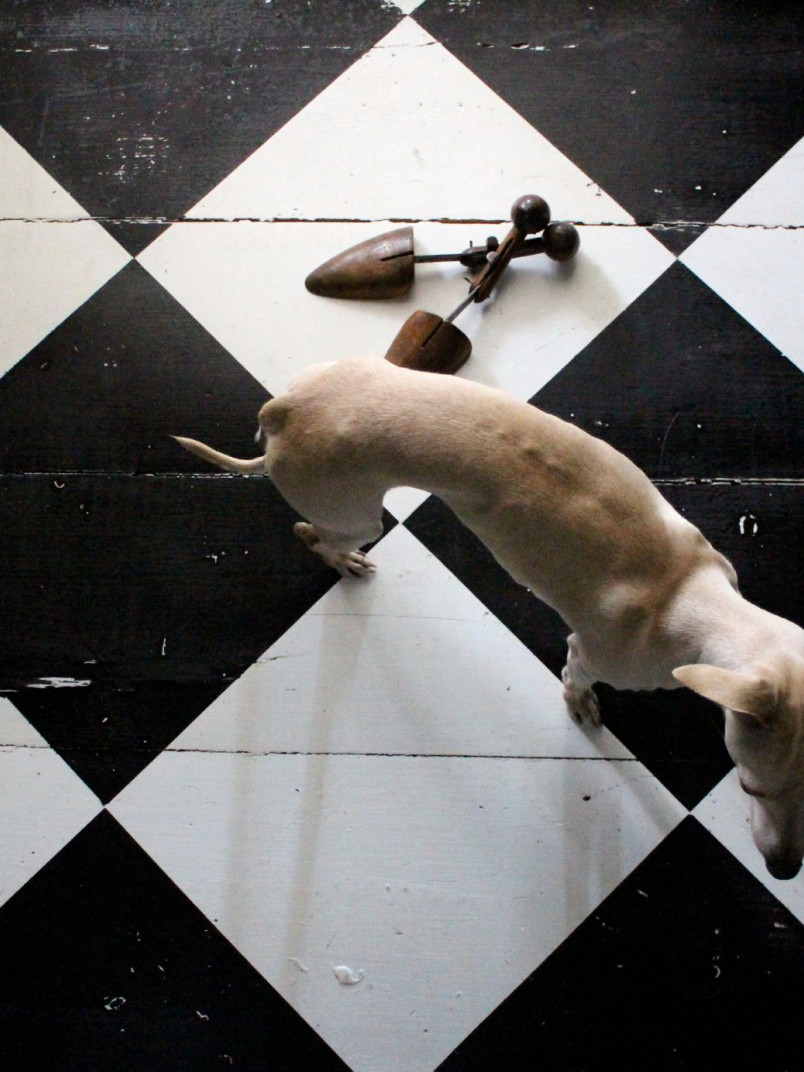 Tikkurila age checkered floor