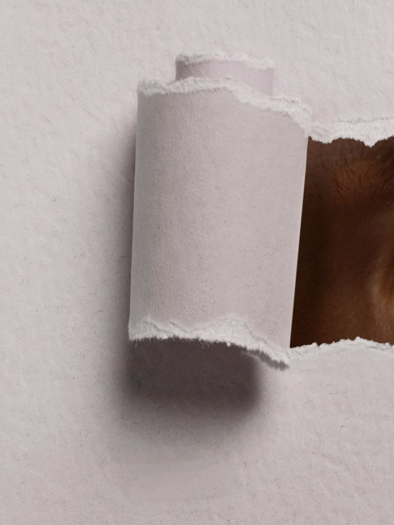 Color Now 2023 coming soon