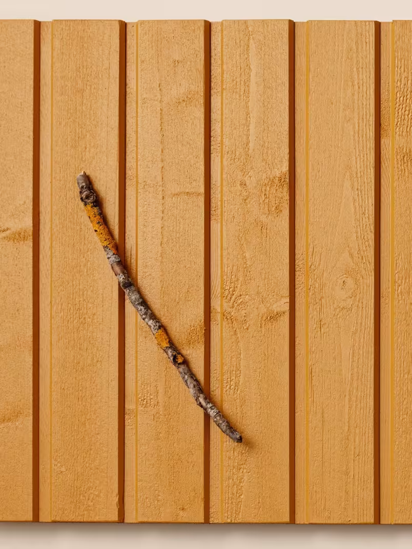 Popular wooden facade colour Yellow D105