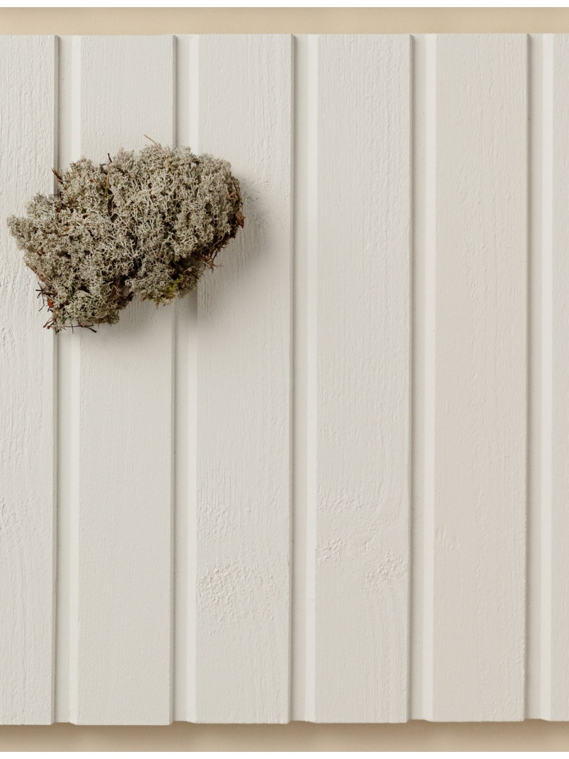 Popular wooden facade colour white Q854