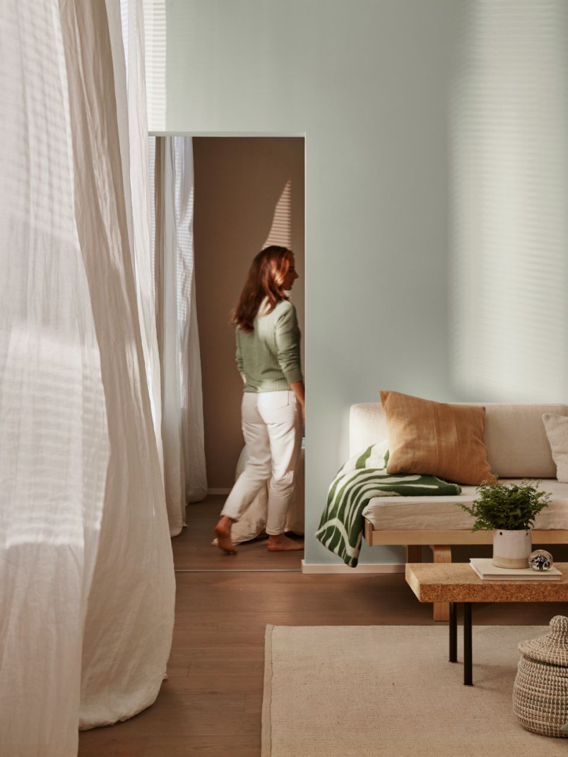 air-purifying functional paint