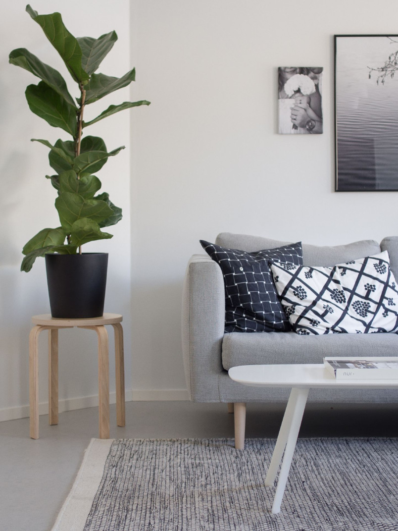 living room in Tikkurila White