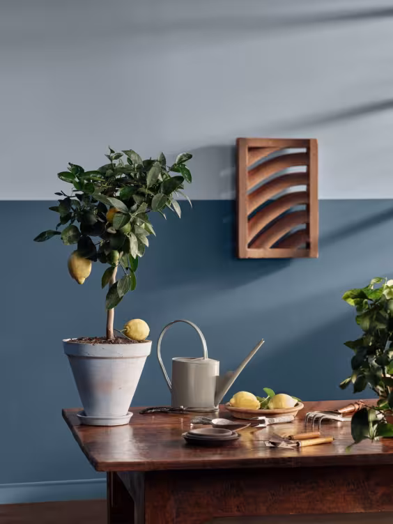 live life in colour_lemon_interior