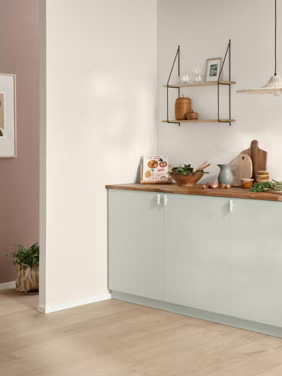 kitchen cabinet with light green colour