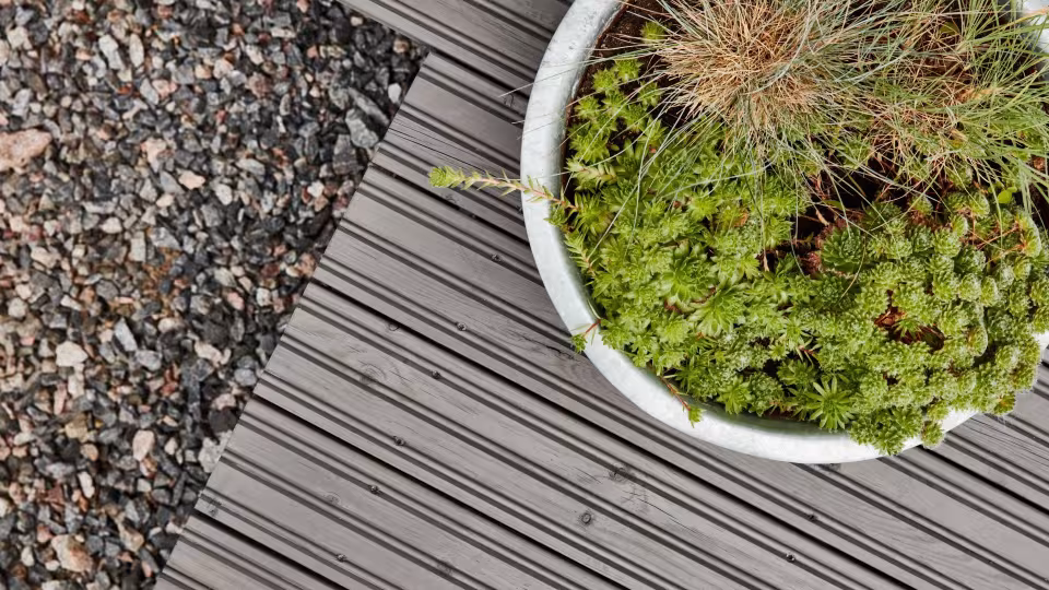 wooden terrace with plants