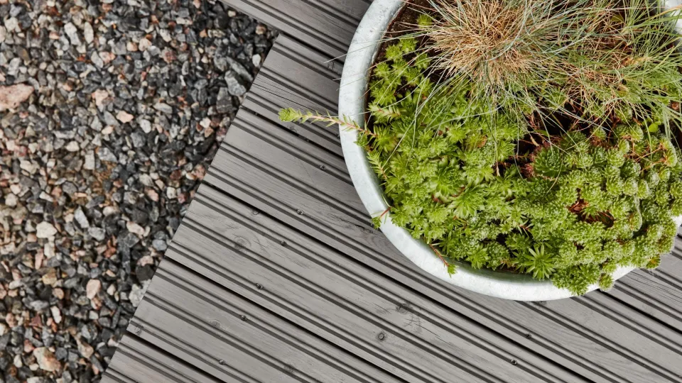 wooden terrace with plants