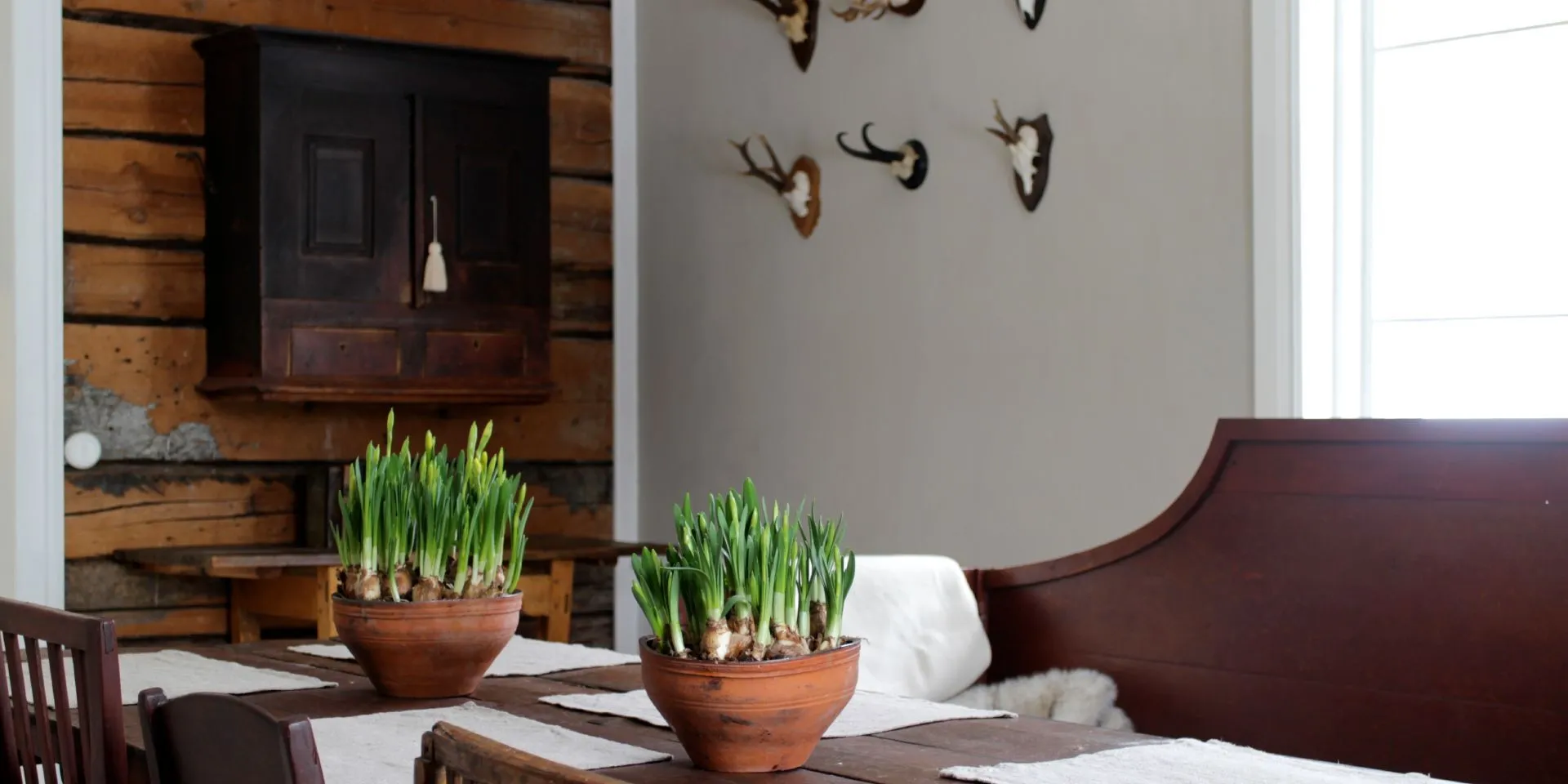 Ruskeanharmaa ruokailutilan seinä