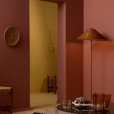 Color Now 2023 walls