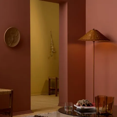 Color Now 2023 walls