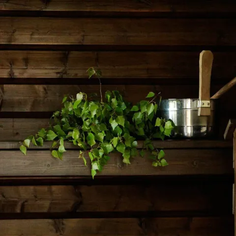 cottage sauna