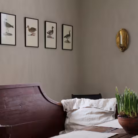 Painted dining room wall