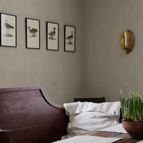 Painted dining room wall