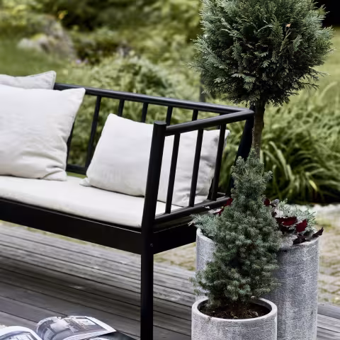 Paint terrace in dark colour