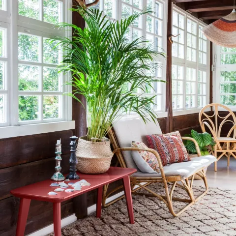 Color Now 2019 color collection