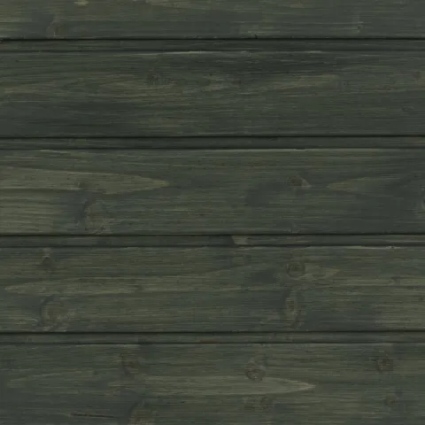 Dark woods