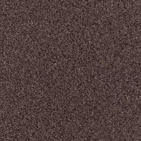 Bronzite