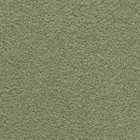 Vesuvianite