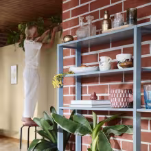 big green plants on decoration shelf in front of brick wall