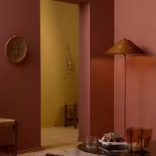 Color Now 2023 walls
