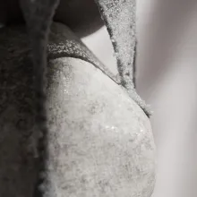 Color of the year coming