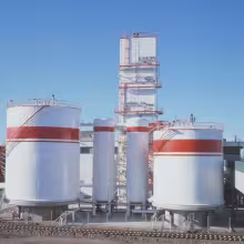 Oil