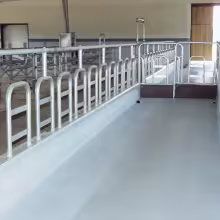 cowshed_4.jpg 