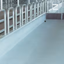 cowshed_5.jpg