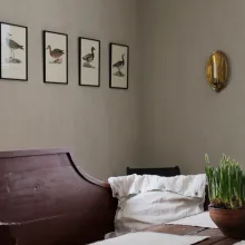 Painted dining room wall