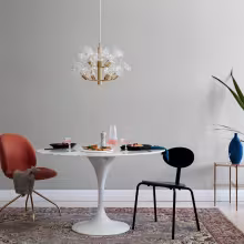feel the color luxurious style