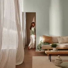 air-purifying functional paint