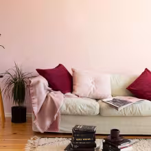 light painted living room colour 