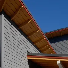 Medienos dažų spalvynas