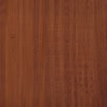 Teak