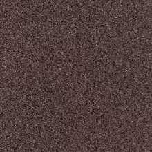 Bronzite
