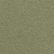 Vesuvianite