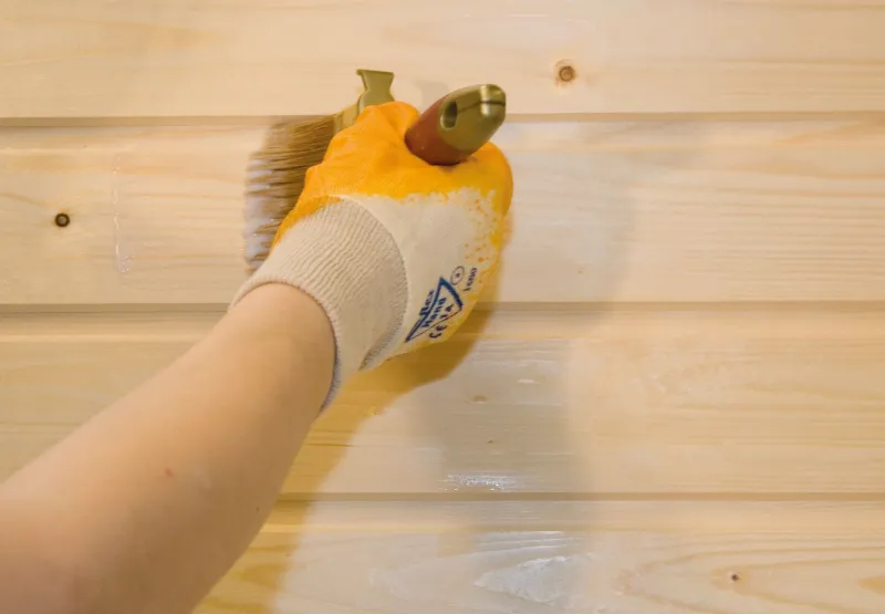 Wall lakbrush