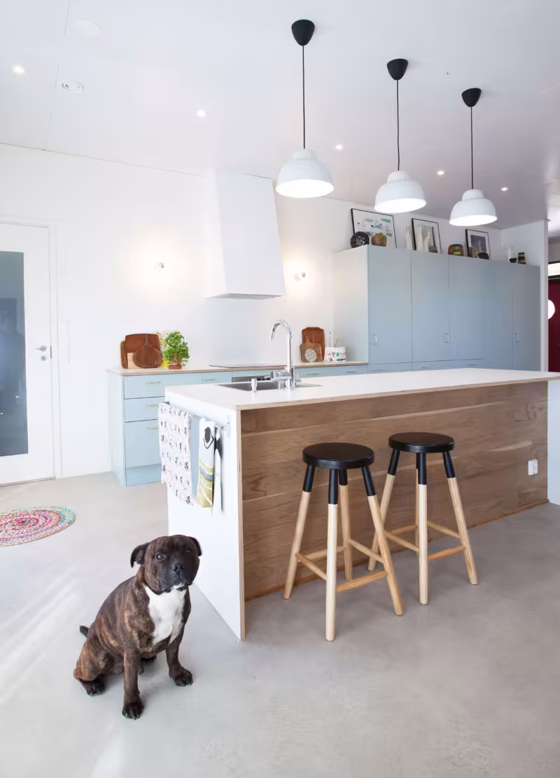 White painted kitchen walls and cabinets